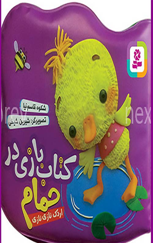 23432434.jpg
