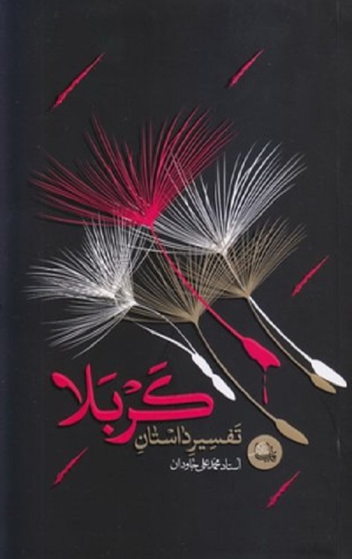24554.jpg