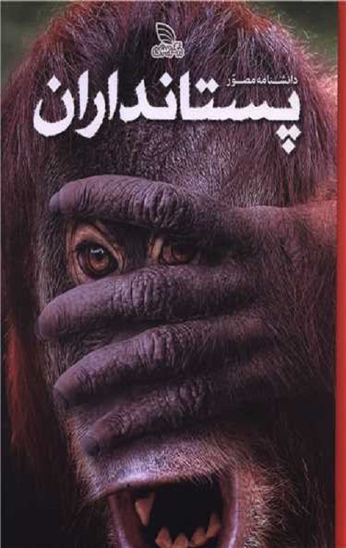 70477.jpg